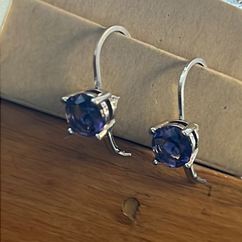 Purple & Silver Lever-back Earrings